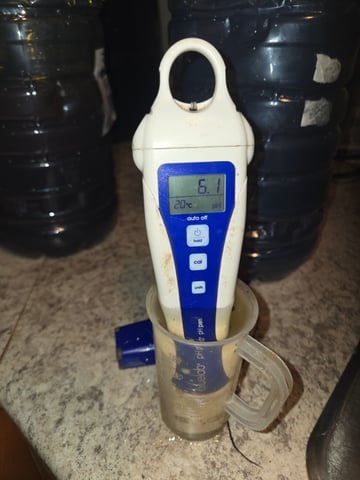 fruitstripe-x-breathworks VS Tropical cherry vs kush cake. vs og haze — flower, day 94