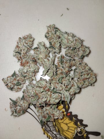 fruity pebbles, cap junky — flower, day 121