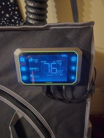 Looking for advice! — vegetative, day 10