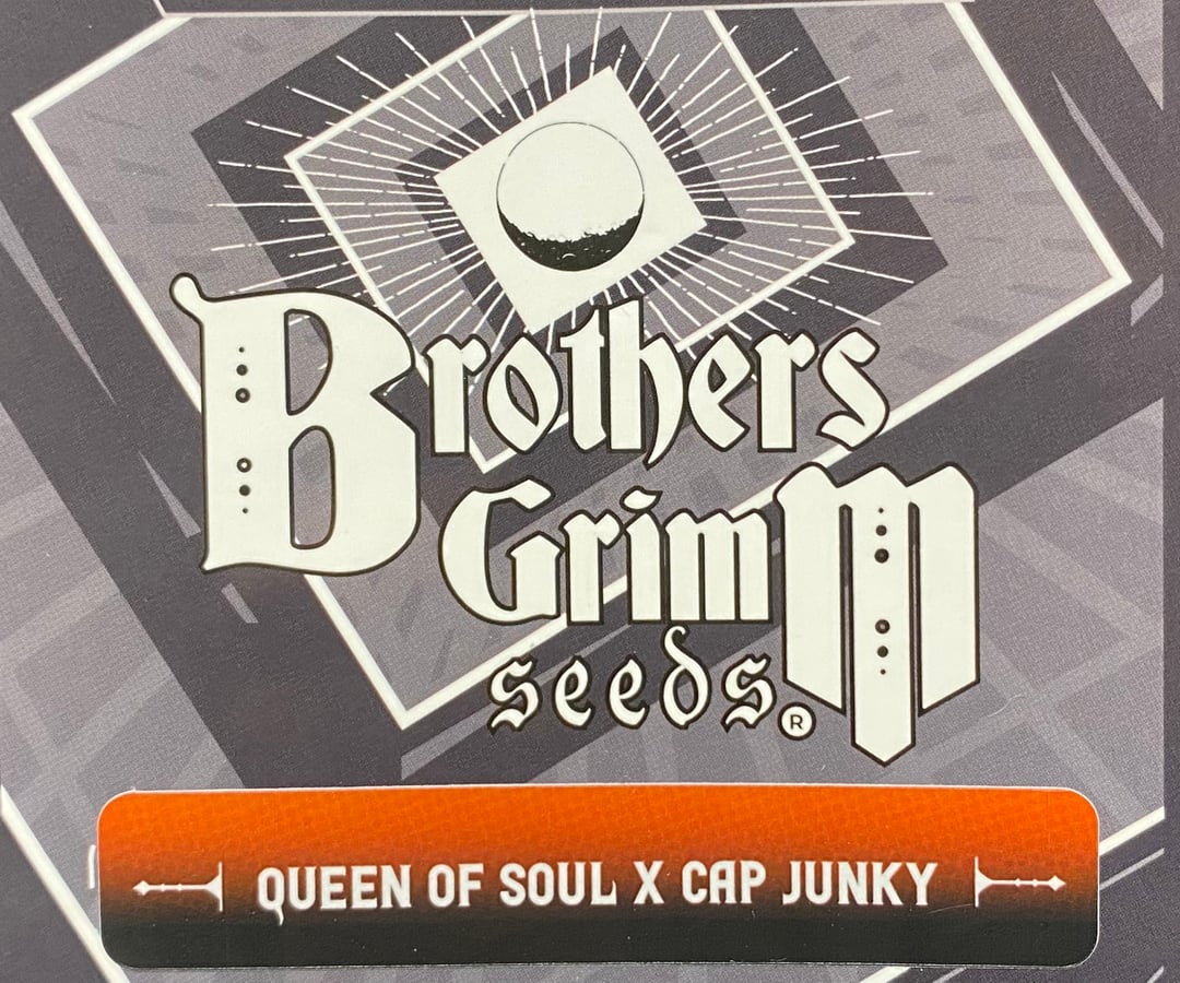 queen of soul X cap junky 
