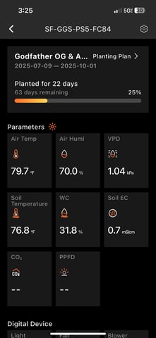 sticking to basics second grow — vegetative, day 12