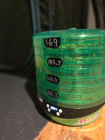 Pineapple express — done, day 67