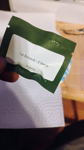 run #2 — germination, day 1