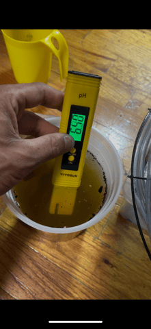 My Devine Conscious  — vegetative, day 27