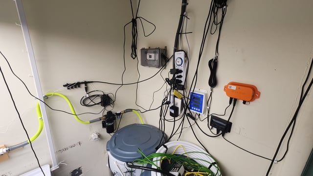 DNA Genetics Kosher Cookies rockwool run round 2 — grow_setup, day 1