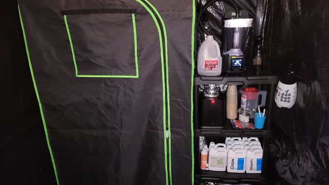 First attempt at planting some seeds — germination, day 2