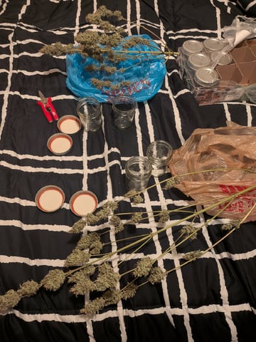 Zkittlez (Auto)