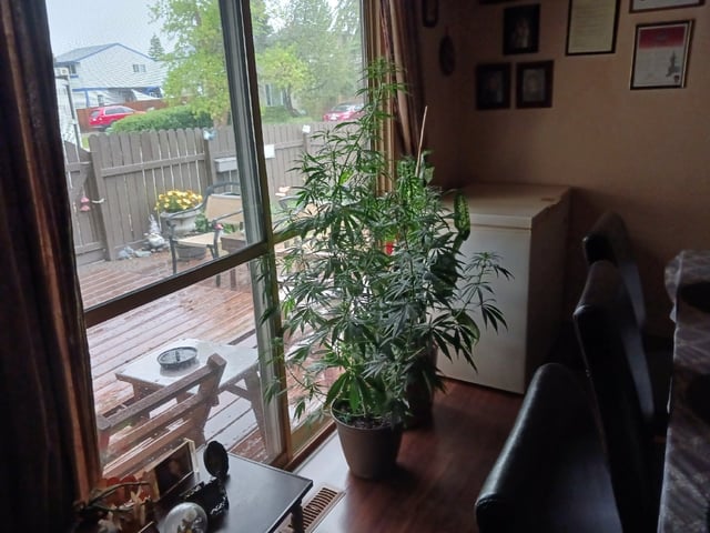 2nd Grow 2026 