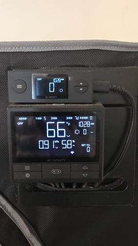 ethos genetics  — harvest, day 121