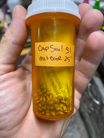 queen of soul X cap junky  — done, day 201