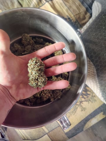 Athena Run  — done, day 150