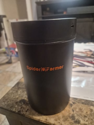 I'll get it right — flower, day 82