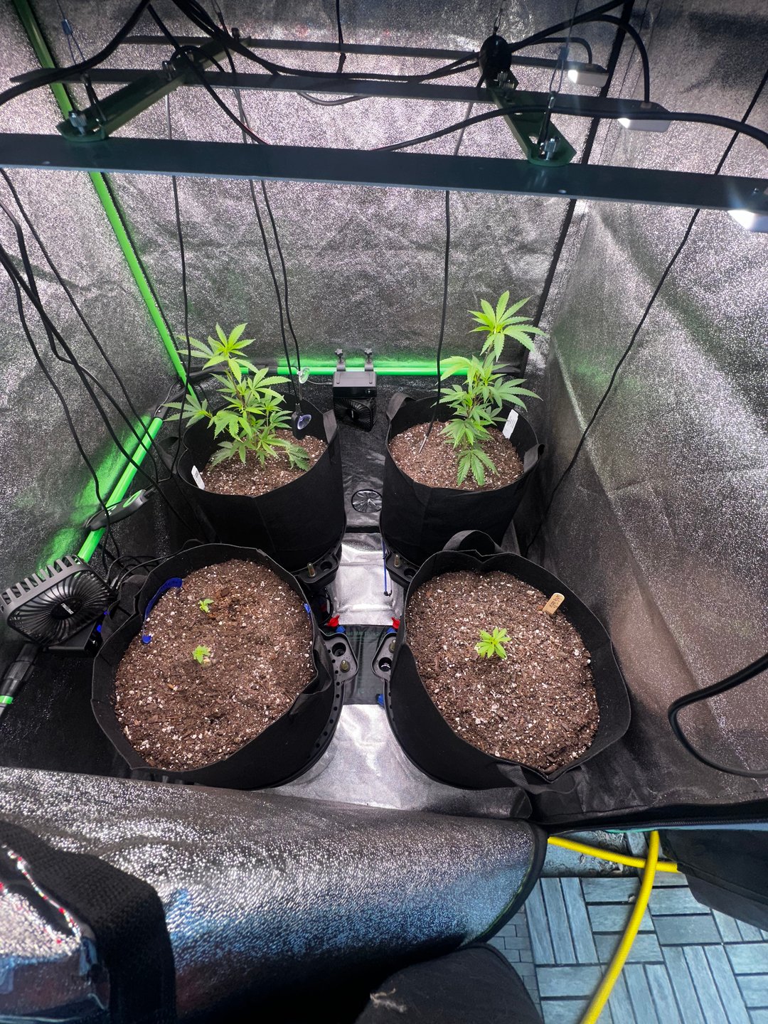2026 Grow
