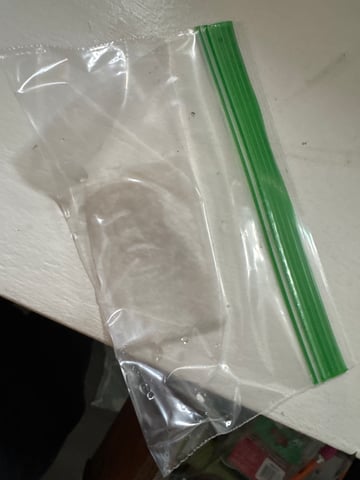 white runtz auto flower — germination, day 1