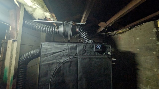 Grow 3 — grow_setup, day 1