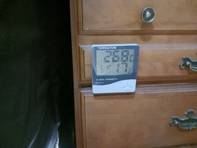 9lbhammer feminized  — seedling_rooting, day 2