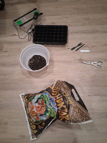 Free Seeds — grow_setup, day 1