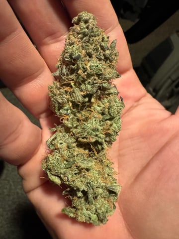 wedding cake auto FIRST GROW! — done, day 96