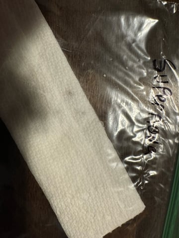 PBB and SN — germination, day 1