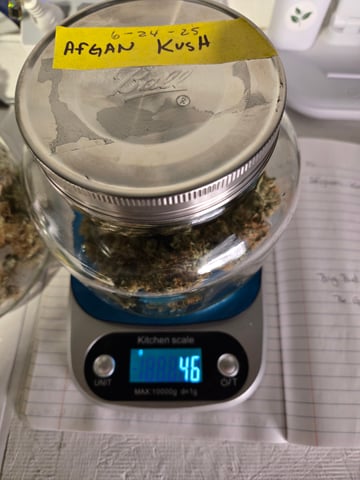 1st grow — done, day 74