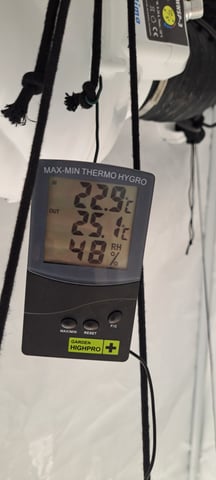 First Grow with the new setup  — auto, day 38