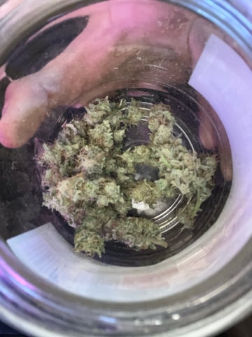 cherry pie clone 
