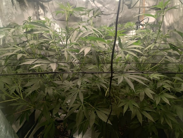 Photo Time📸🕞 — flower, day 69