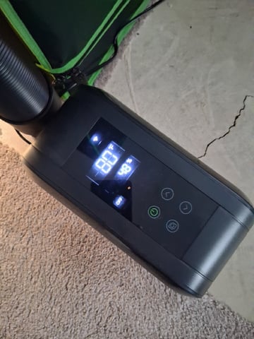 fruity pebbles, cap junky — flower, day 79