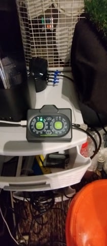 Skunk #1 — flower, day 89