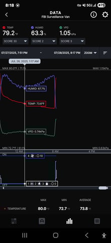 Purple Haze  — flower, day 64
