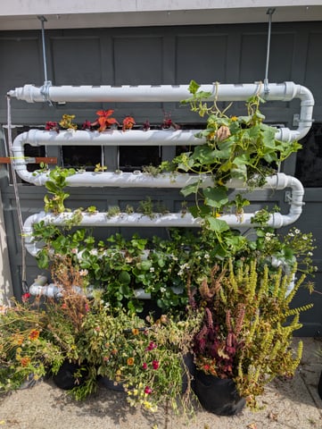 outdoor hydro ladder