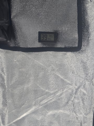 3rd Auto Grow — seedling_rooting, day 32