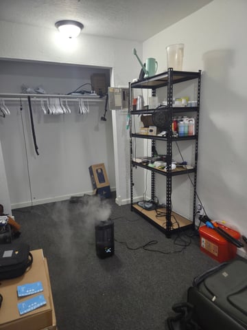 Strawberry Cheesecake Auto from Seedsman — grow_setup, day 1