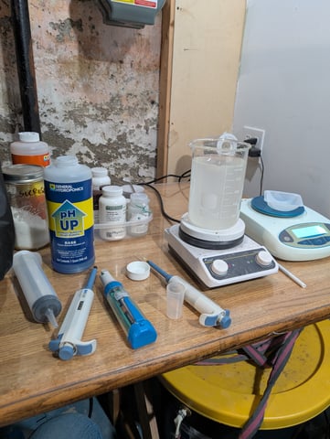 Plant in a test tube — grow_setup, day 1