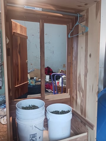 first time hydropontic grow of autoflower and non autoflower — grow_setup, day 1