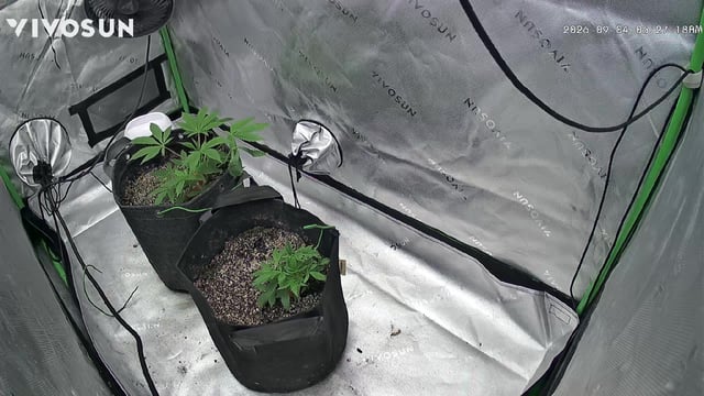 B.P, E.G, B.F, Chama!