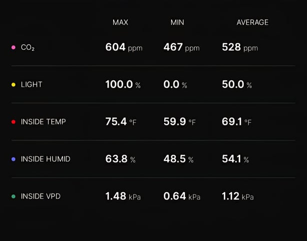 Big Momma Blue Dream  — flower, day 52