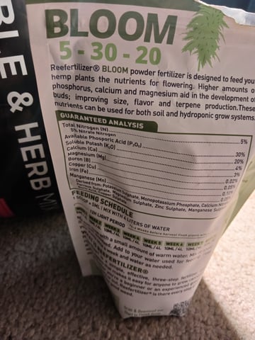 4th grow  — germination, day 4