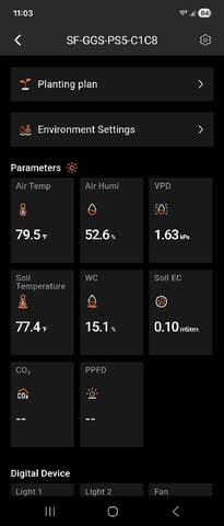 Kalini Asia Auto  — flower, day 34