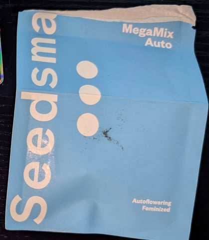 Perpetual Autoflower Mixed Grow #3 — flower, day 64