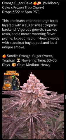 OLD GROW, NEW IDEAS — harvest, day 57