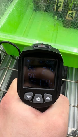 Permanent Marker, Gary Payton Cuttings/Clones  — seedling_rooting, day 1