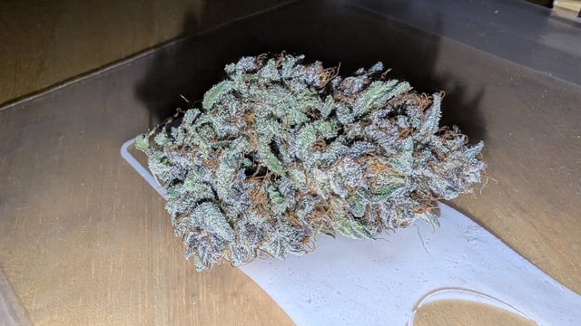 Mixed Grow — flower, day 108