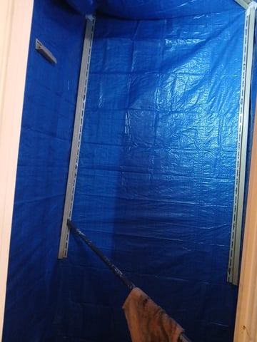 1st Grow — grow_setup, day 5