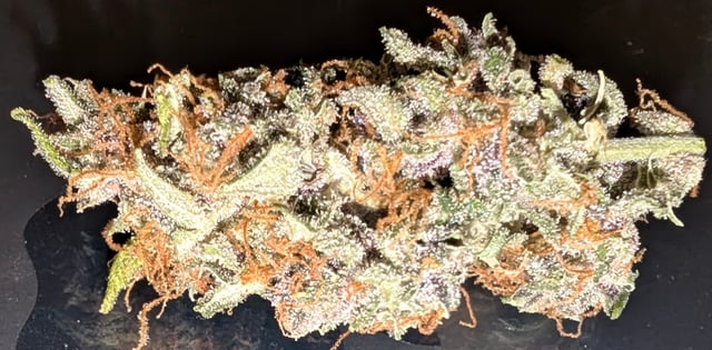 Strawberry Cheesecake Seedsman Seeds Autoflowers x2 — flower, day 113