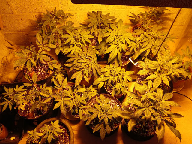 Autos