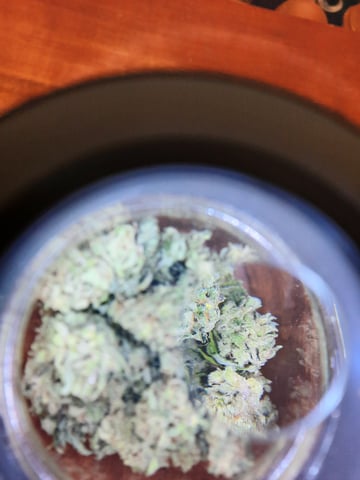 missing pieces — harvest, day 148