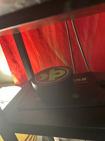 Super Boof & Gary Payton — germination, day 1