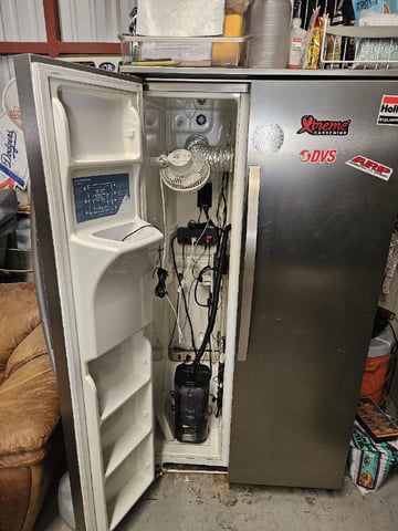 TANGYLAND — germination, day 1