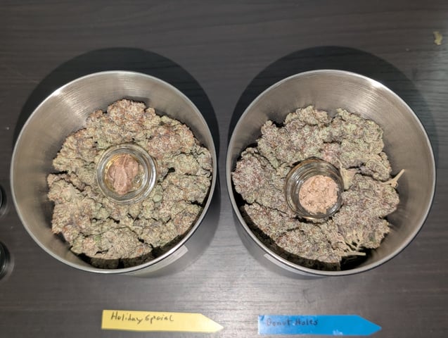 Exotic Genetix Donut Holes & Holiday Special 2025